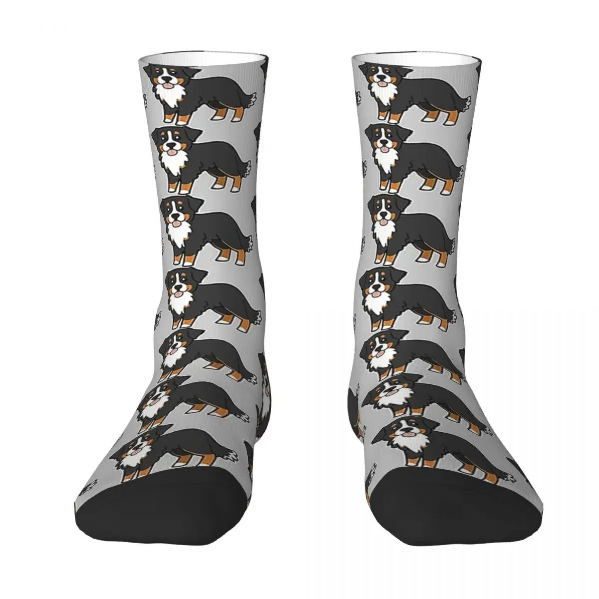   ũ Ÿŷ Bernese Mountain Dog 縻 ĳ־   縻   ׼ ũ 